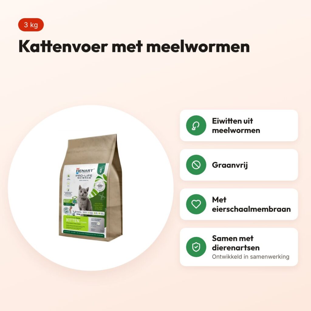 Henart Insect kattenvoer Cat Junior 3 kg – graanvrij – voordelen
