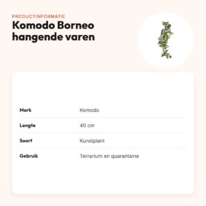 Komodo Borneo hangende varen 40 cm – kunstplant voor terrarium – productinformatie