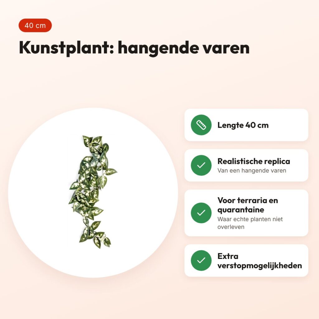 Komodo Borneo hangende varen 40 cm – kunstplant voor terrarium – voordelen