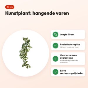 Komodo Borneo hangende varen 40 cm – kunstplant voor terrarium – voordelen