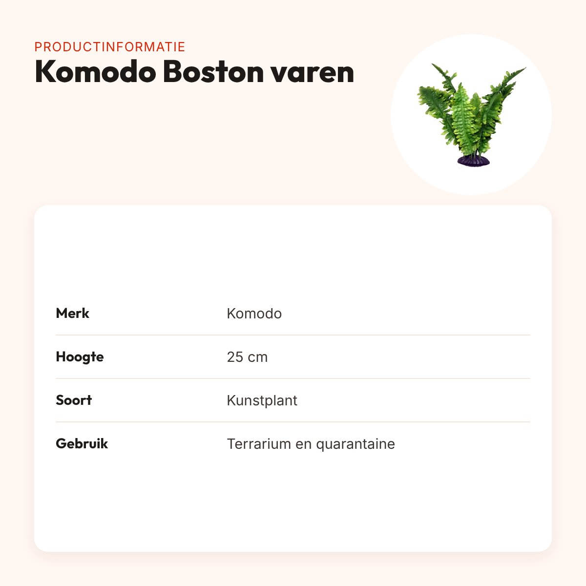 Komodo Boston varen 25 cm – kunstplant voor terrarium – productinformatie