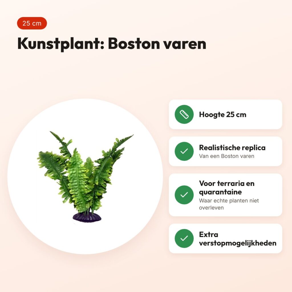 Komodo Boston varen 25 cm – kunstplant voor terrarium – voordelen