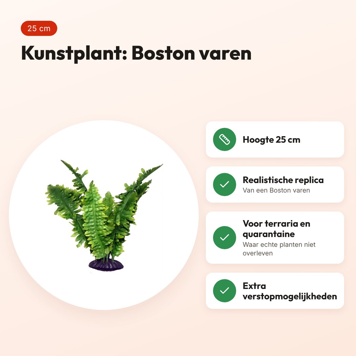 Komodo Boston varen 25 cm – kunstplant voor terrarium – voordelen
