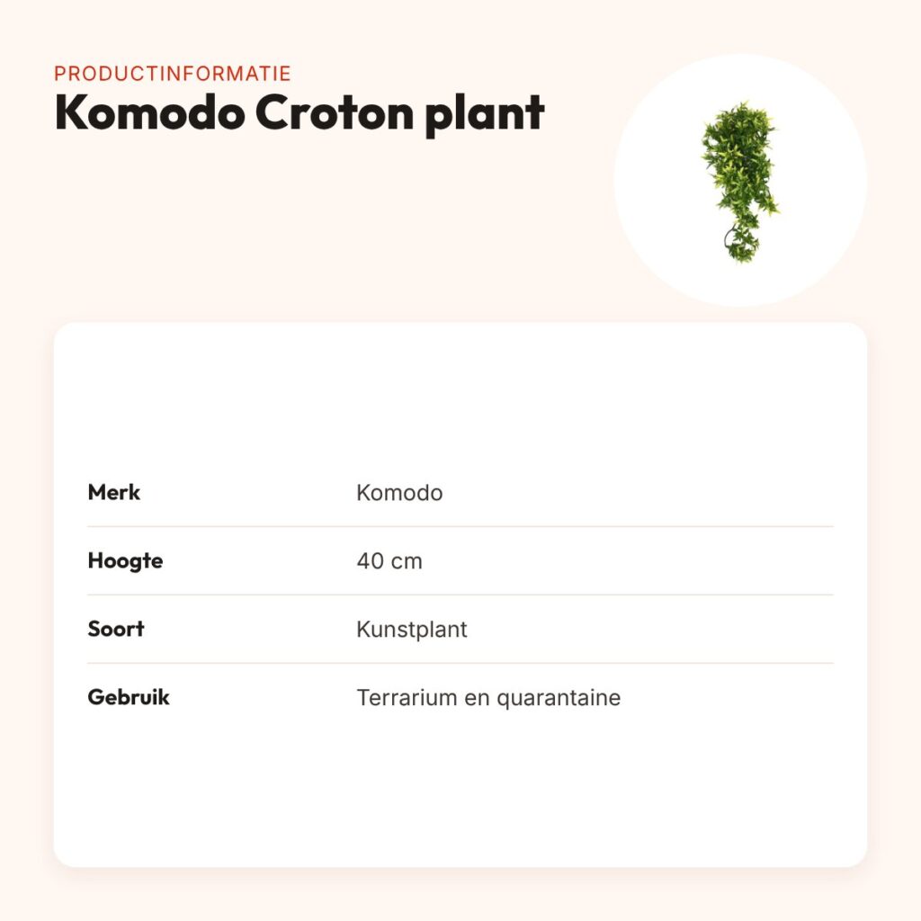 Komodo Croton plant 40 cm – kunstplant voor terrarium – productinformatie