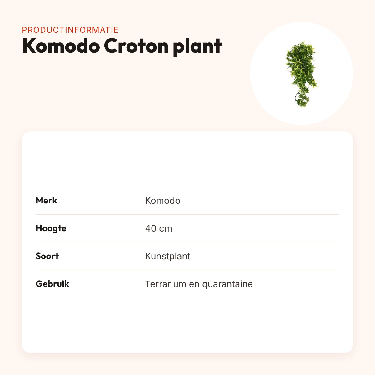 Komodo Croton plant 40 cm – kunstplant voor terrarium – productinformatie