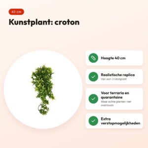 Komodo Croton plant 40 cm – kunstplant voor terrarium – voordelen