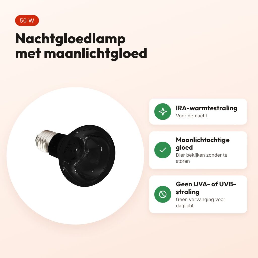 Komodo nachtgloedlamp ES 50 W E27 – maanlichtachtige gloed voor terrarium – voordelen