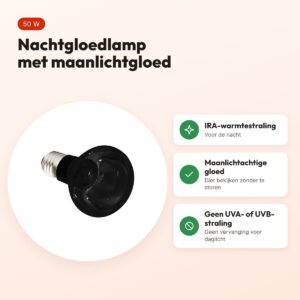 Komodo nachtgloedlamp ES 50 W E27 – maanlichtachtige gloed voor terrarium – voordelen