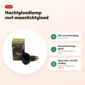 Komodo nachtgloedlamp ES 75 W E27 – maanlichtachtige gloed voor terrarium – voordelen