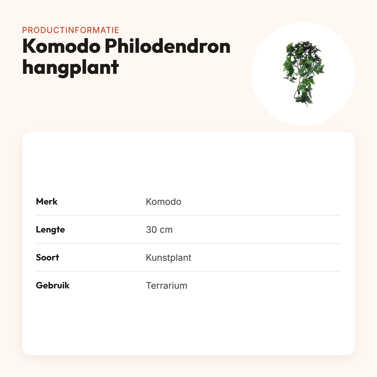 Komodo Philodendron hangplant 30 cm – kunstplant voor terrarium – productinformatie