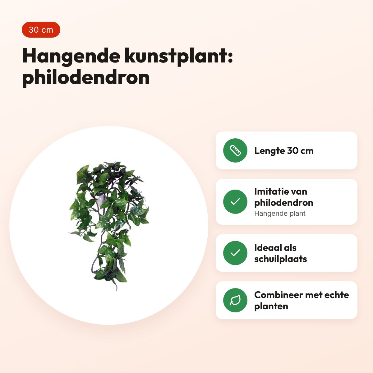 Komodo Philodendron hangplant 30 cm – kunstplant voor terrarium – voordelen