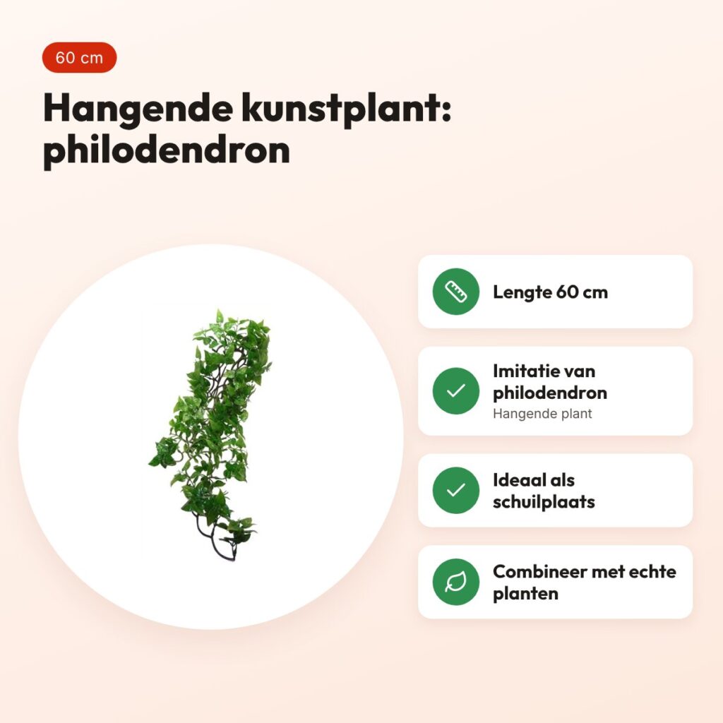 Komodo Philodendron hangplant 60 cm – kunstplant voor terrarium – voordelen