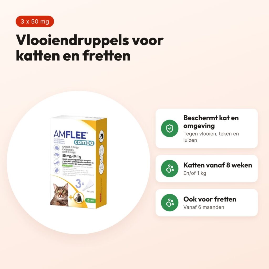 Krka Amflee Combo vlooiendruppels kat 50 mg – 3 pipetten, ook voor fretten – voordelen