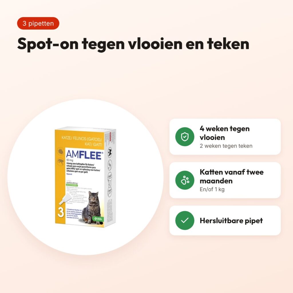 Krka Amflee spot-on kat 50 mg – 3 pipetten tegen vlooien en teken – voordelen