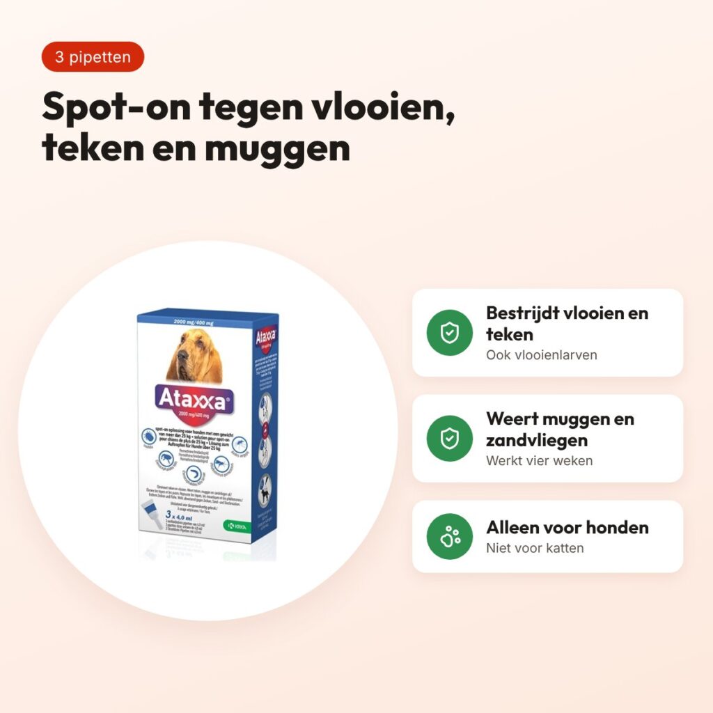 Krka Ataxxa spot-on hond meer dan 25 kg 400 mg – 3 pipetten – voordelen