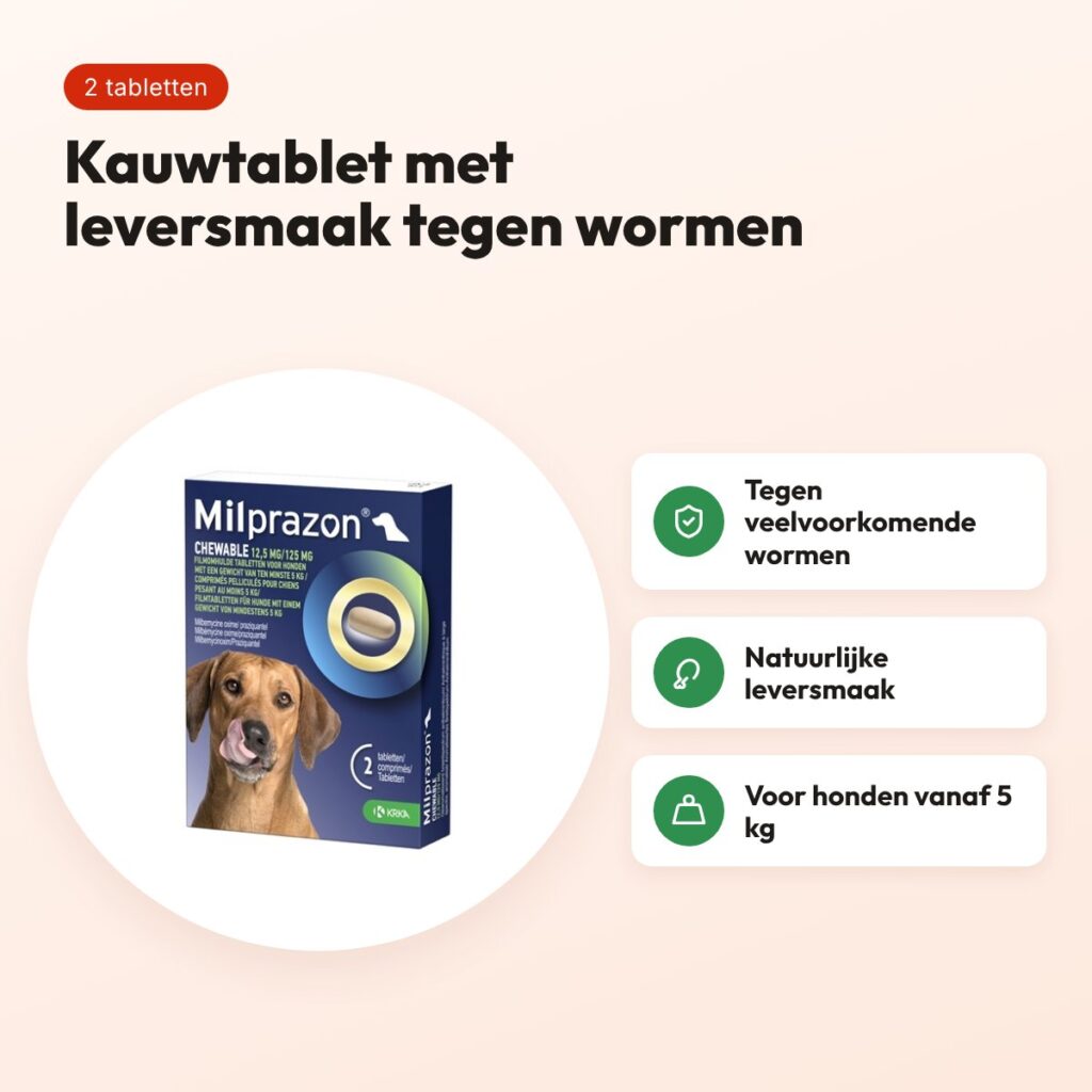 Krka Milprazon kauwtabletten hond vanaf 5 kg 12,5 mg – 2 tabletten – voordelen