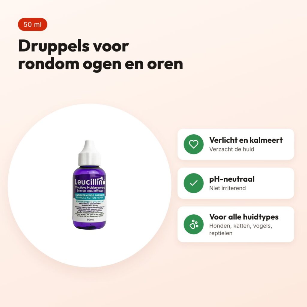 Leucillin dropper 50 ml – druppels voor rondom ogen en oren – voordelen