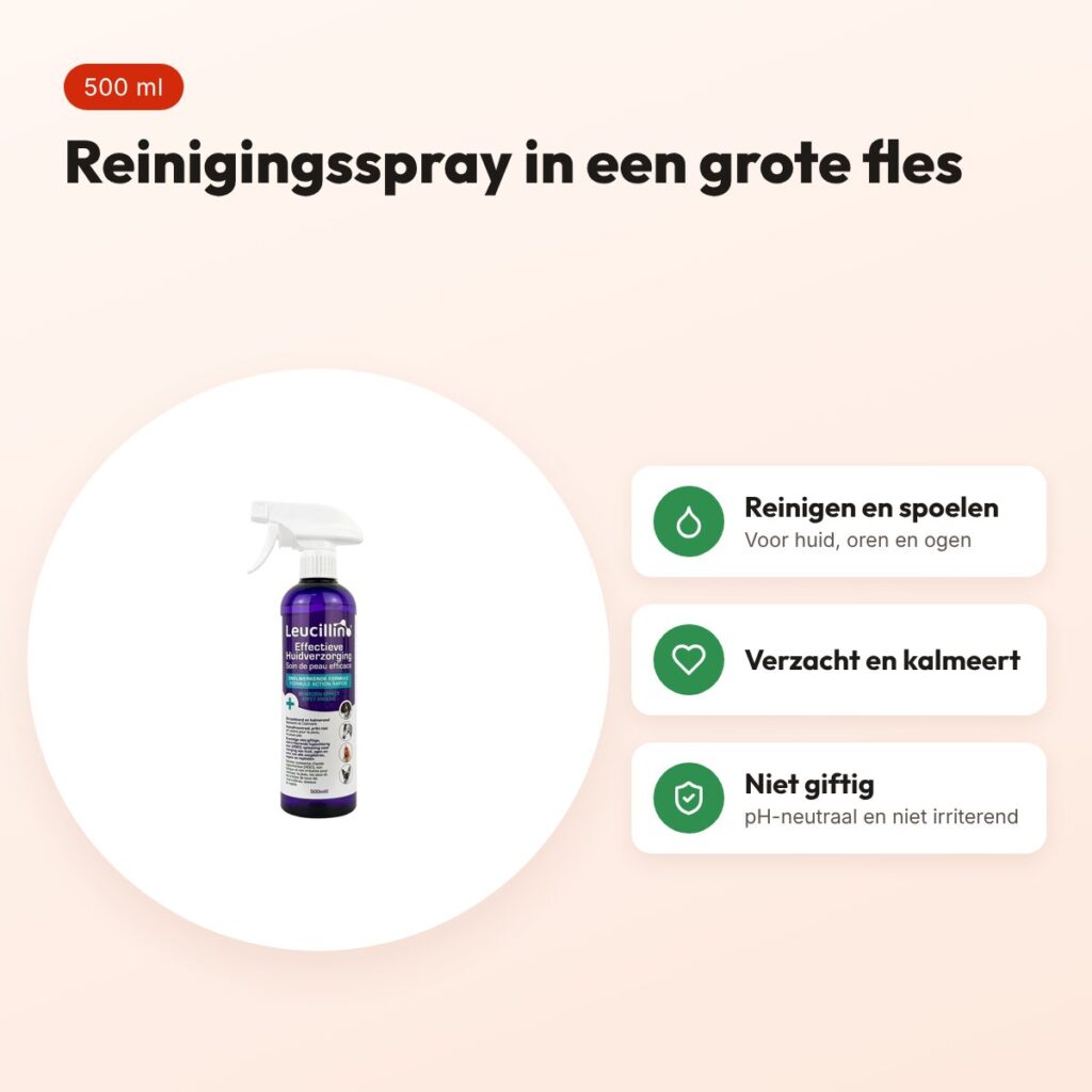 Leucillin spray 500 ml – reinigt huid, oren en ogen – voordelen