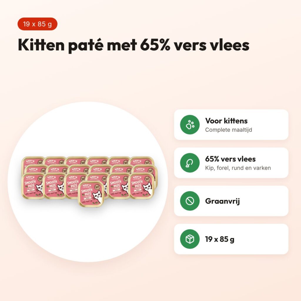Lily's Kitchen Kitten Smooth Paté kip 19 x 85 g – graanvrij natvoer – voordelen