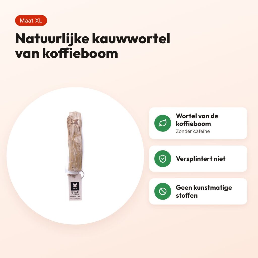 Martin kauwwortel koffiehout XL – natuurlijke kauwwortel voor honden – voordelen