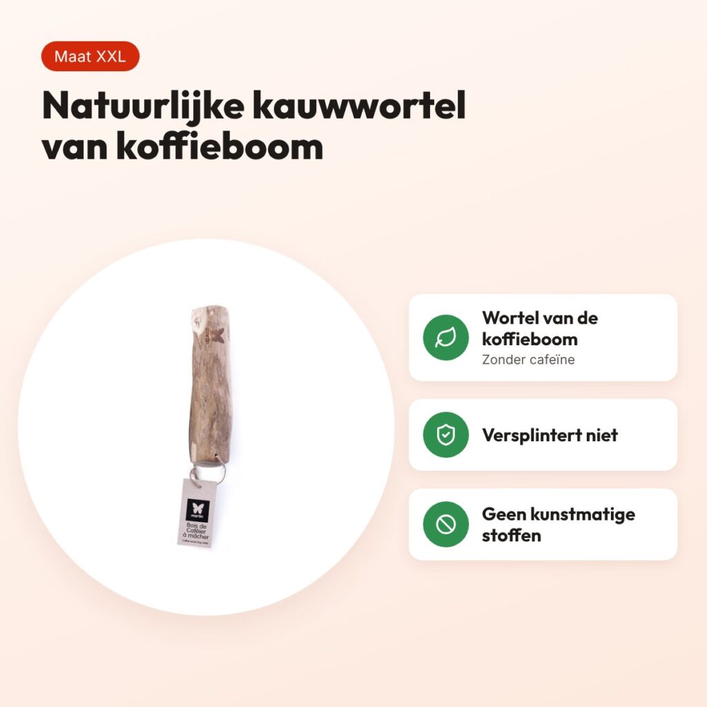 Martin kauwwortel koffiehout XXL – natuurlijke kauwwortel voor honden – voordelen