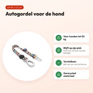 Morso autogordel hond Spaghetti Incident 40-65 x 1,5 cm – tot 20 kg – voordelen
