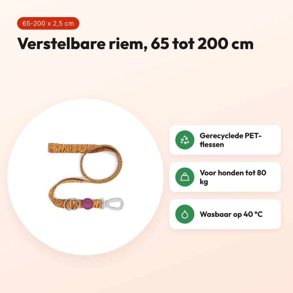 Morso hondenriem verstelbaar Jungle Drum groen 65-200 x 2,5 cm – tot 80 kg – voordelen