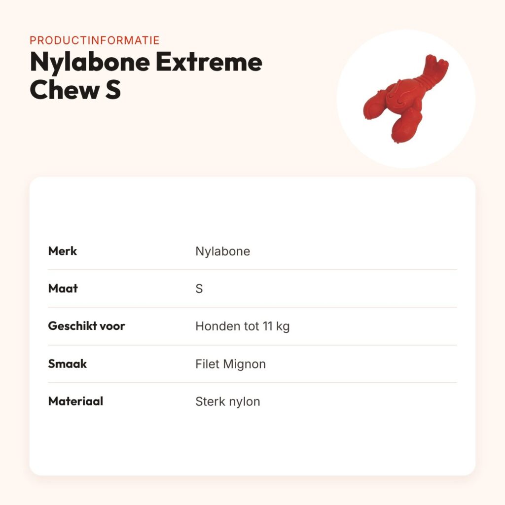Nylabone Extreme Chew kauwspeeltje Lobster Filet Mignon S tot 11 kg – productinformatie