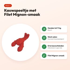 Nylabone Extreme Chew kauwspeeltje Lobster Filet Mignon S tot 11 kg – voordelen