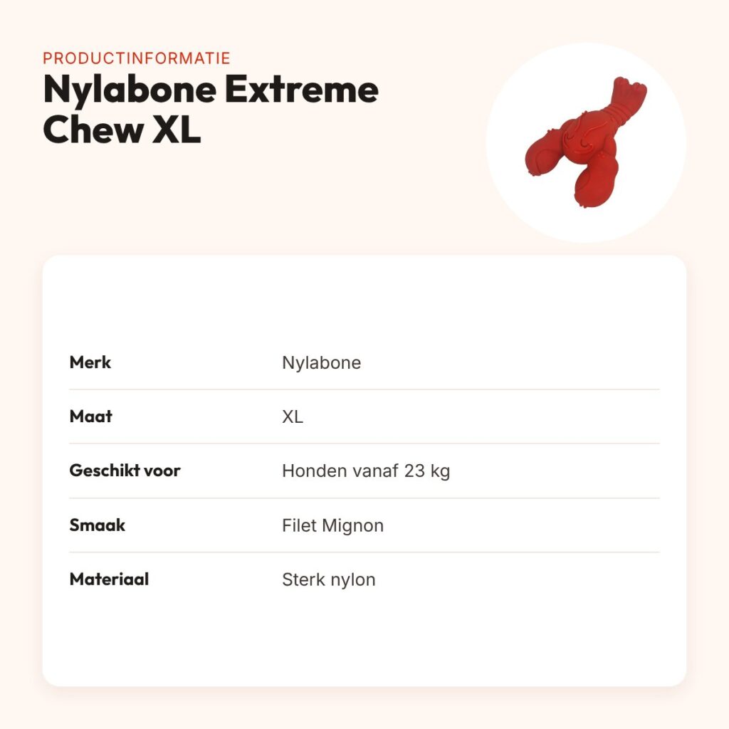 Nylabone Extreme Chew kauwspeeltje Lobster Filet Mignon XL vanaf 23 kg – productinformatie
