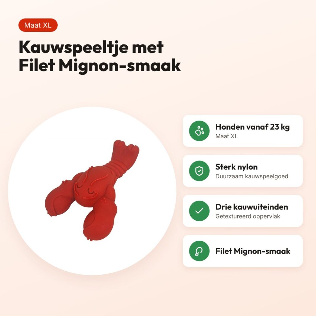 Nylabone Extreme Chew kauwspeeltje Lobster Filet Mignon XL vanaf 23 kg – voordelen