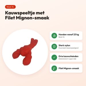 Nylabone Extreme Chew kauwspeeltje Lobster Filet Mignon XL vanaf 23 kg – voordelen