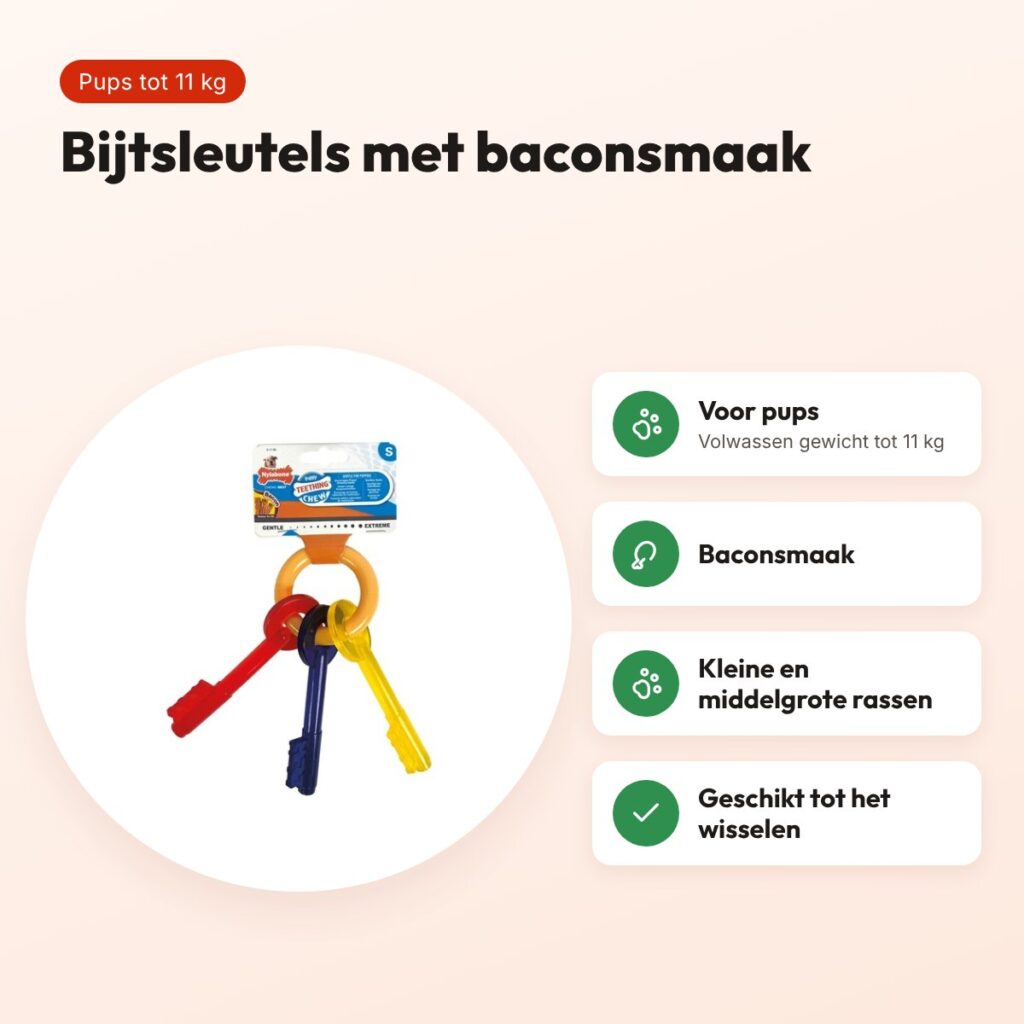 Nylabone Puppy Chew bijtsleutels baconsmaak – pups tot 11 kg – voordelen