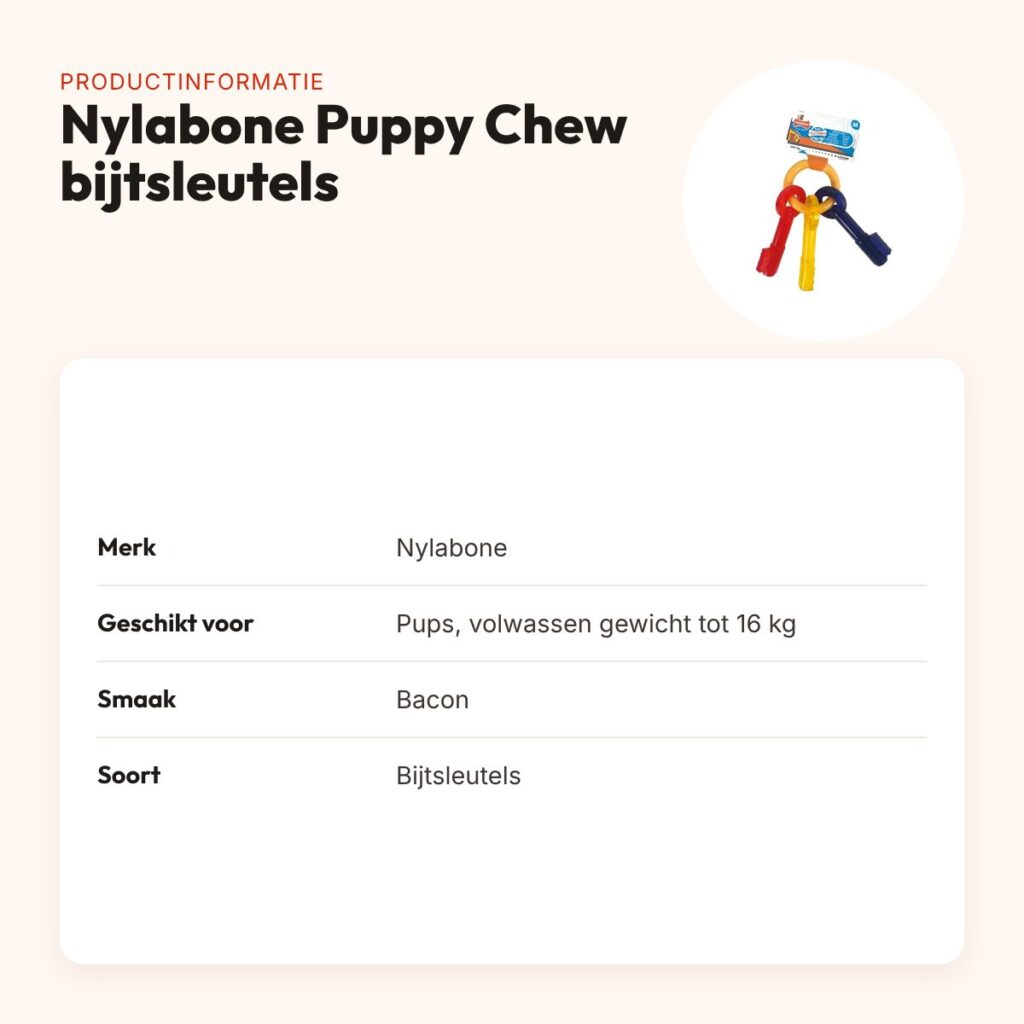 Nylabone Puppy Chew bijtsleutels baconsmaak – pups tot 16 kg – productinformatie