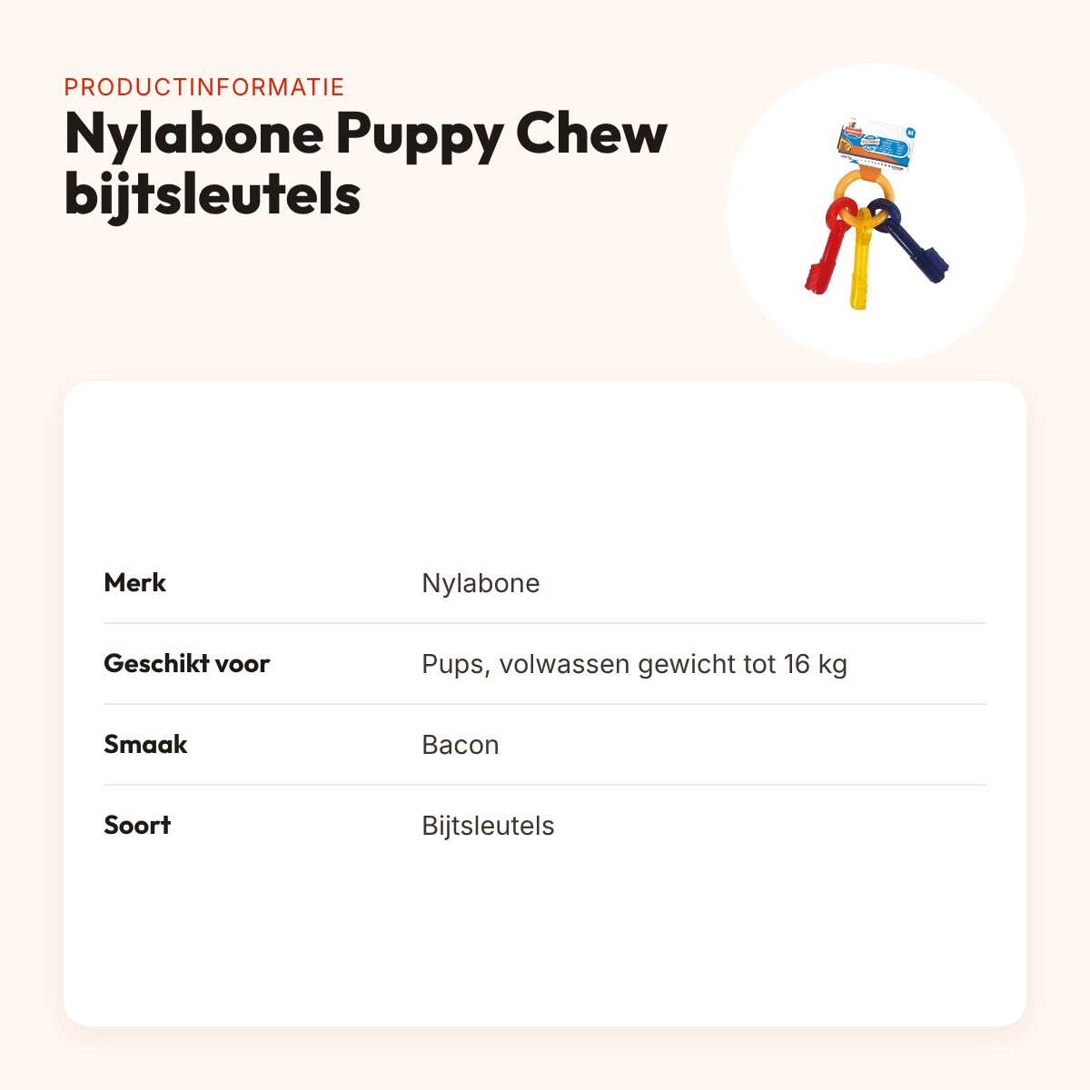 Nylabone Puppy Chew bijtsleutels baconsmaak – pups tot 16 kg – productinformatie