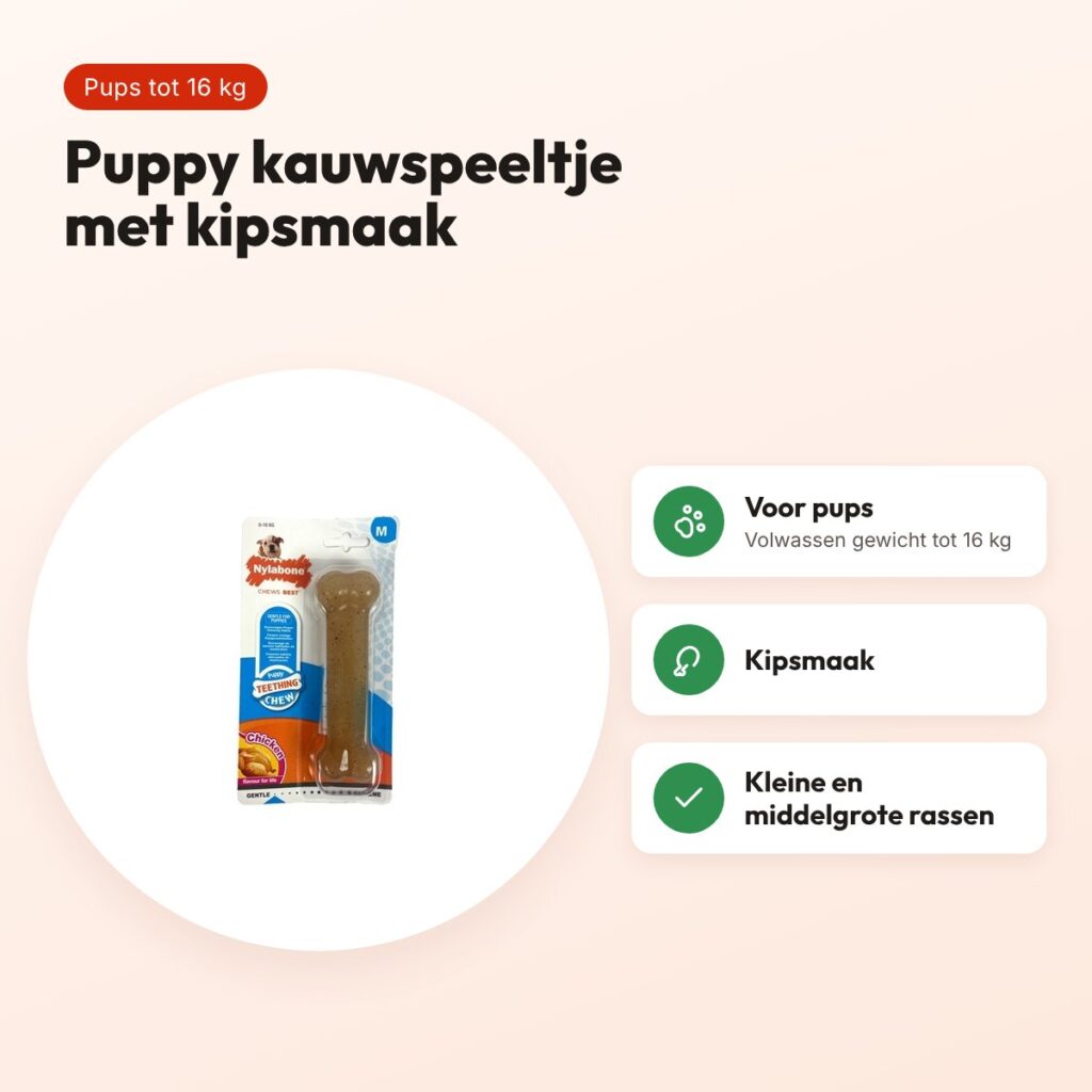 Nylabone Puppy Chew kauwspeeltje kipsmaak – pups tot 16 kg – voordelen