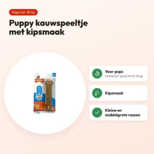 Nylabone Puppy Chew kauwspeeltje kipsmaak – pups tot 16 kg – voordelen