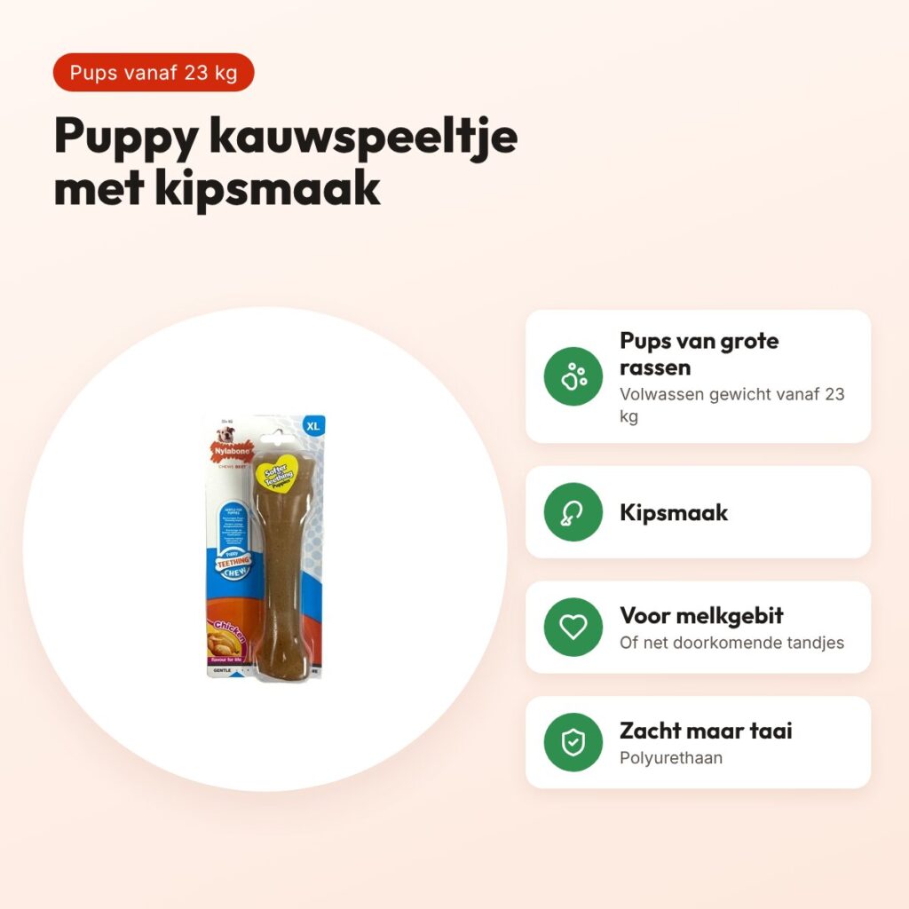 Nylabone Puppy Chew kauwspeeltje kipsmaak – pups vanaf 23 kg – voordelen