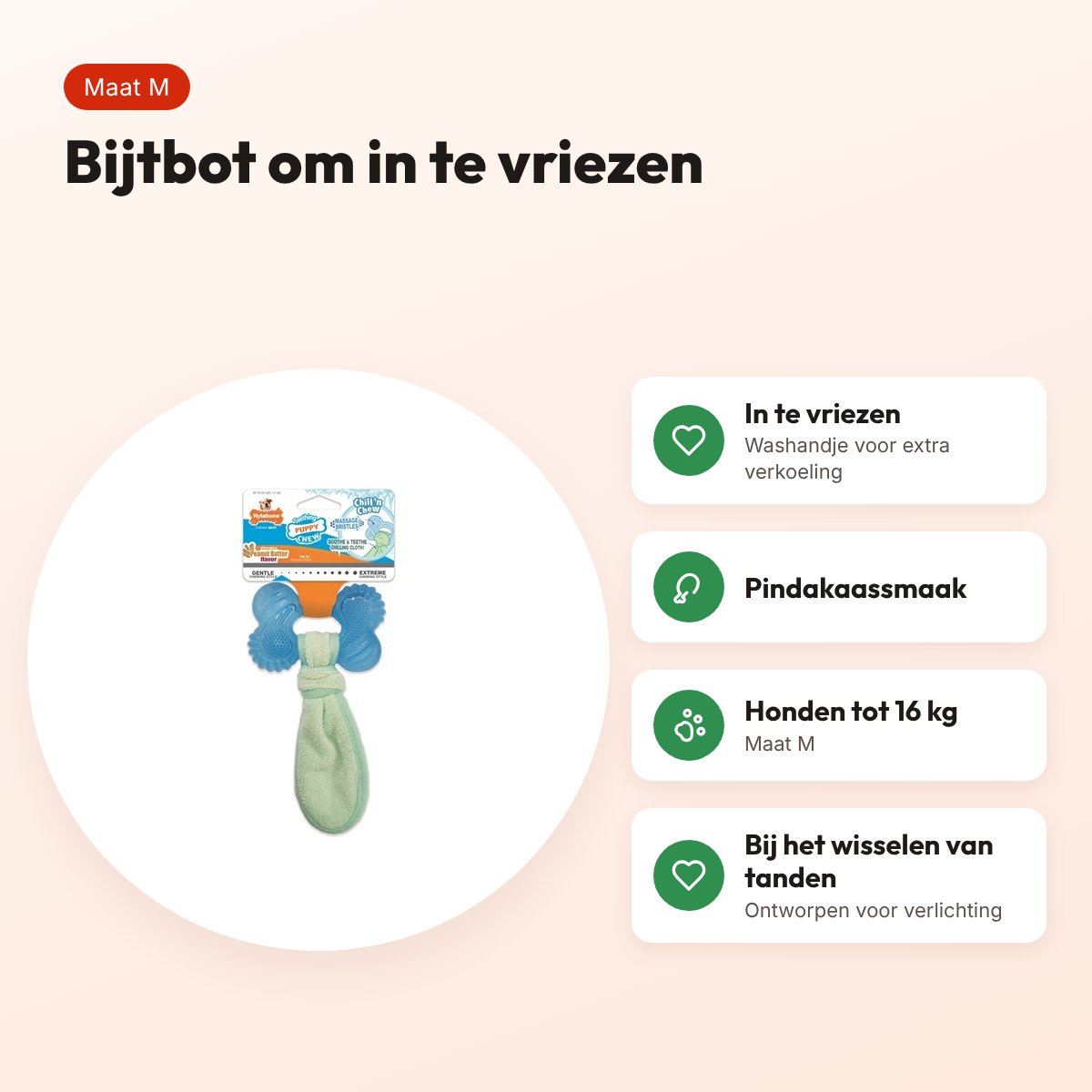 Nylabone Puppy Freezer Bone kauwspeeltje pindakaassmaak – maat M – voordelen