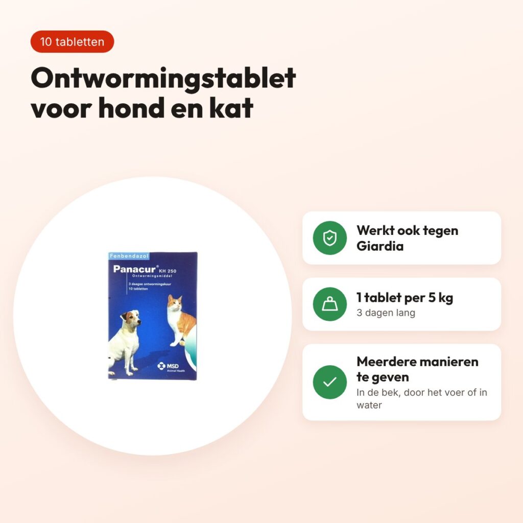 Panacur KH 250 ontwormingstabletten hond en kat 250 mg – 10 tabletten – voordelen