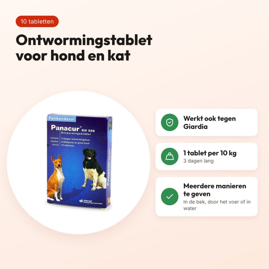 Panacur KH 500 ontwormingstabletten hond en kat 500 mg – 10 tabletten – voordelen