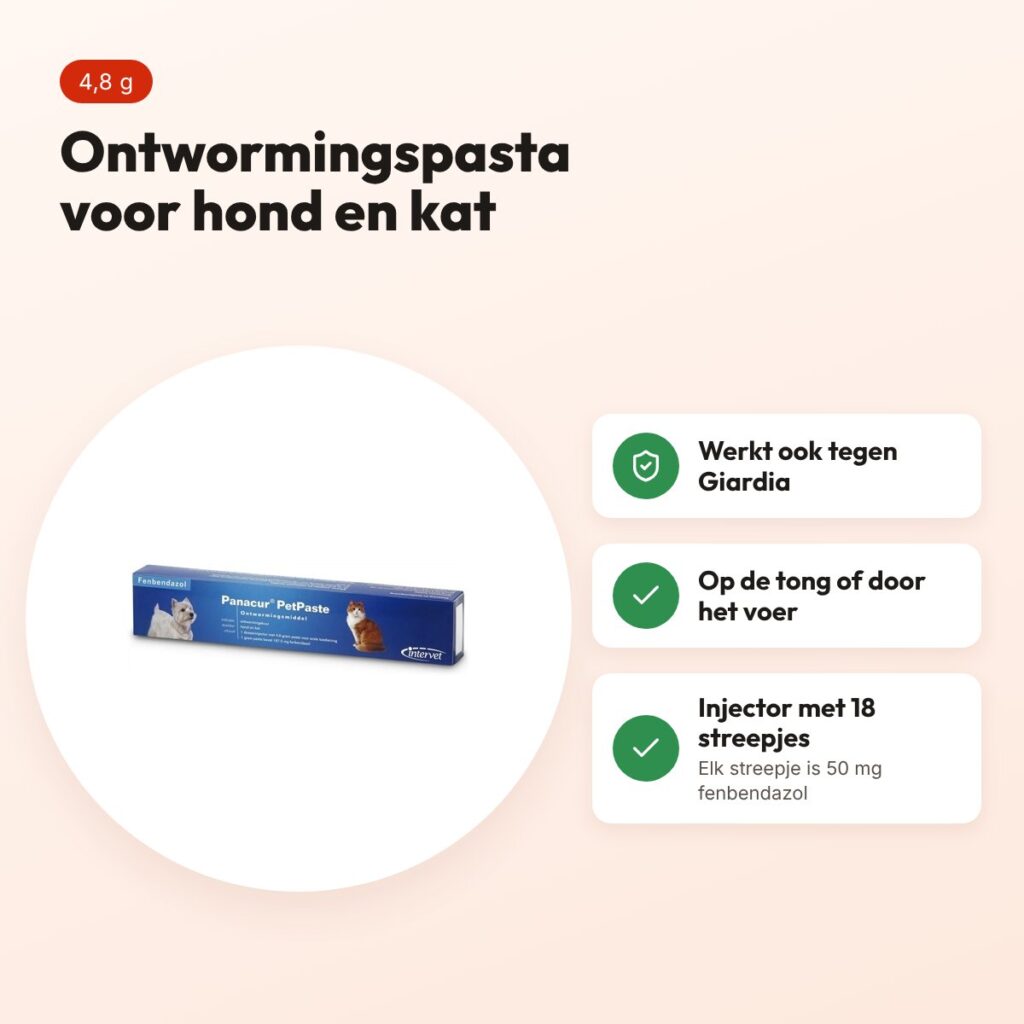 Panacur ontwormingspasta hond en kat – injector 4,8 g – voordelen