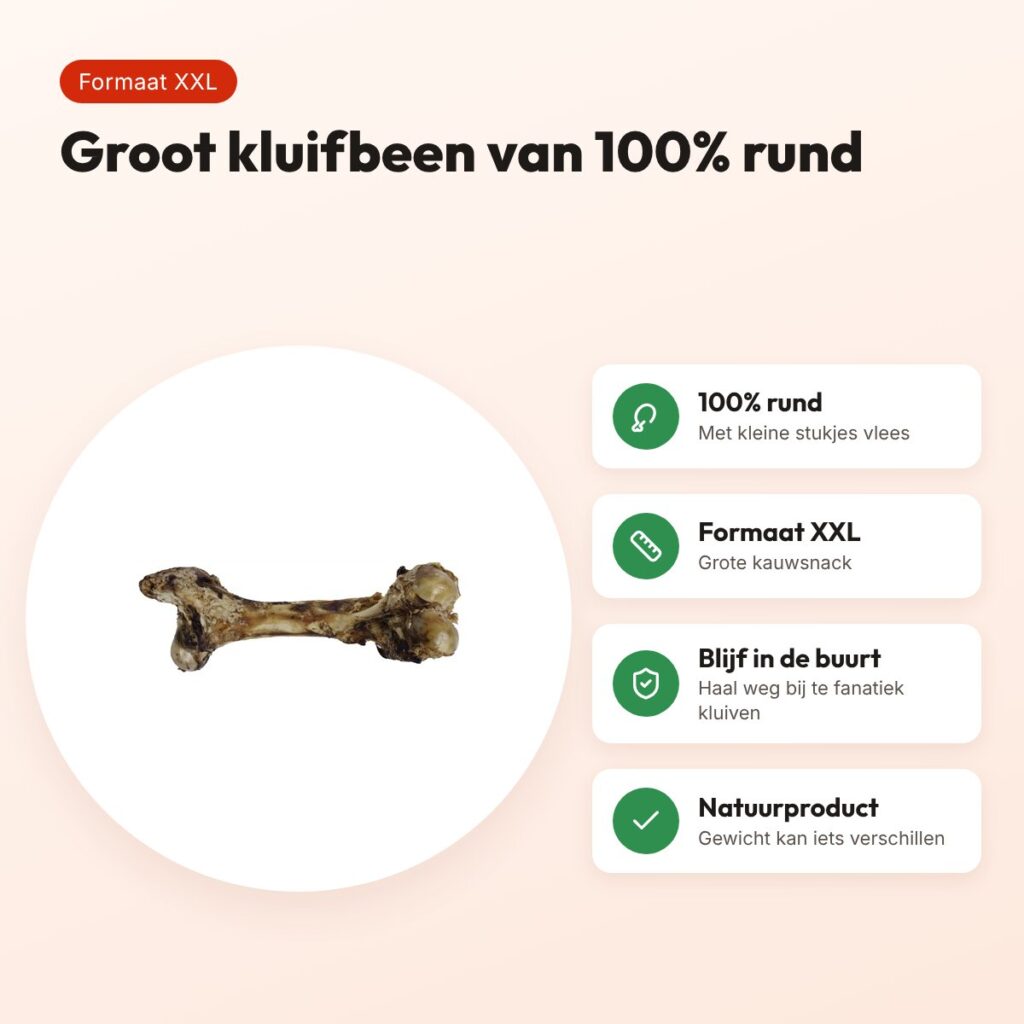 Petsnack Dinobot XXL 1 stuk – kluifbeen van 100% rund – voordelen