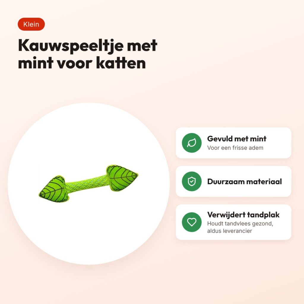 Petstages Fresh Breath Mint Stick kauwspeeltje kat – klein – voordelen