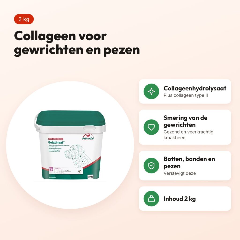 PrimeVal gelatinaat hond 2 kg – collageenhydrolysaat en collageen type II – voordelen