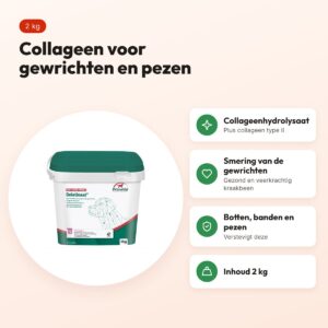 PrimeVal gelatinaat hond 2 kg – collageenhydrolysaat en collageen type II – voordelen