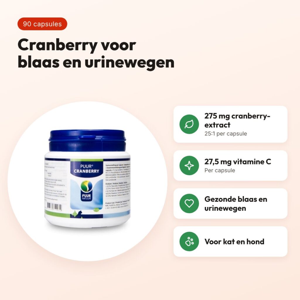 Puur Natuur cranberry 90 capsules – blaas en urinewegen – voordelen