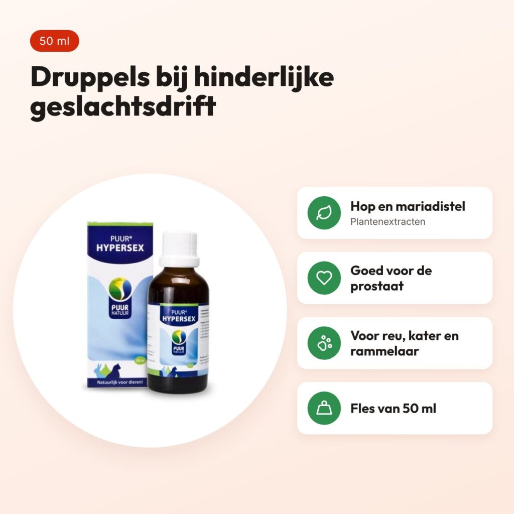 Puur Natuur Hypersex druppels 50 ml – reu, kater en rammelaar – voordelen