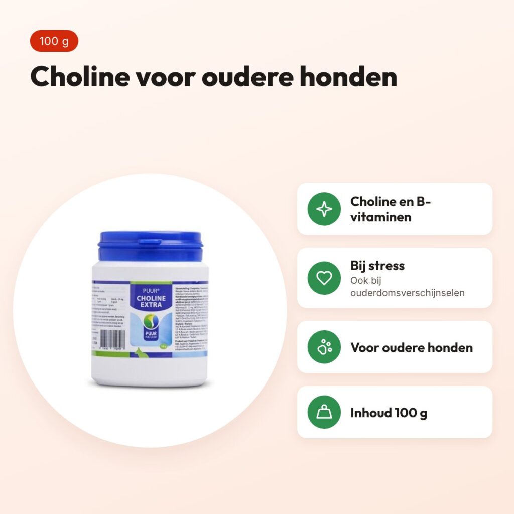 Puur Natuur Puur Choline Extra 100 g – voor oudere honden – voordelen