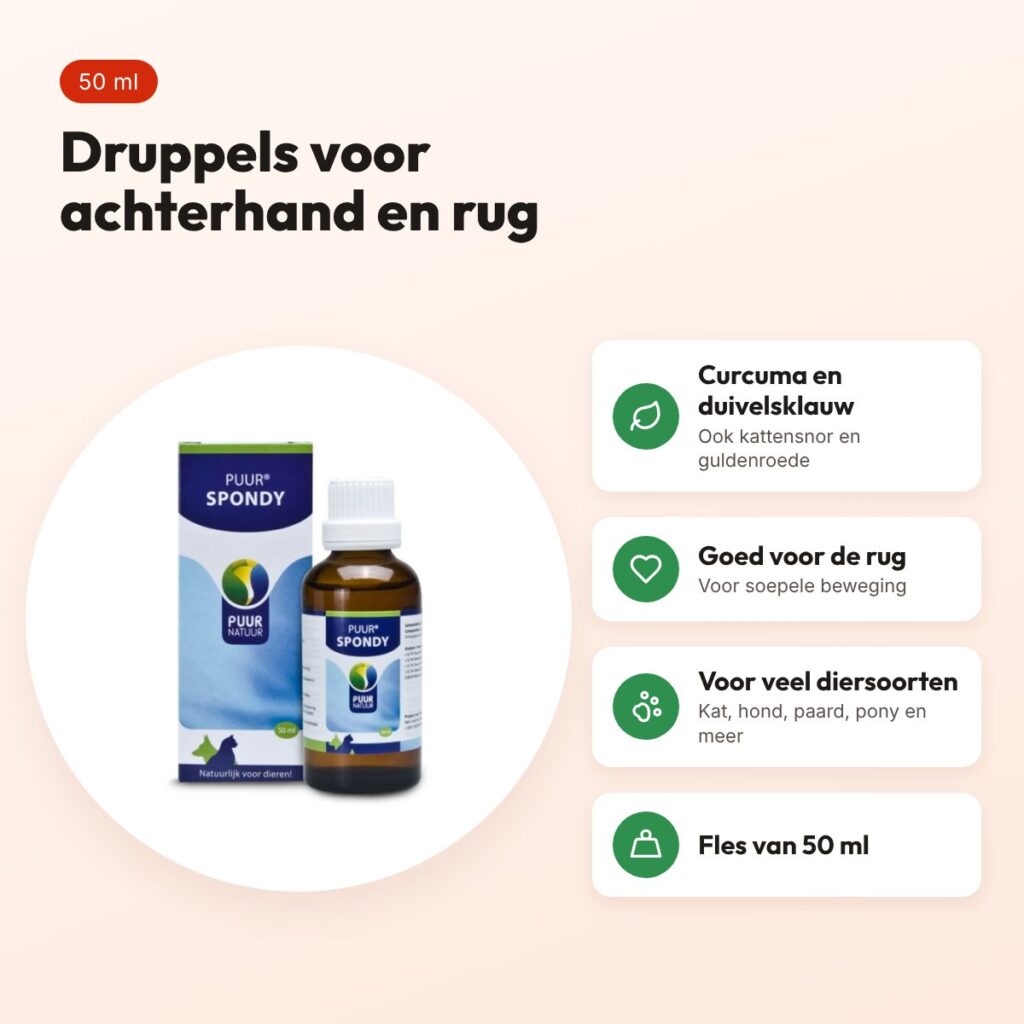 Puur Natuur Spondy druppels 50 ml – voor de achterhand en rug – voordelen